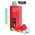 Saltica 12000